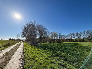 S26-02-024: nahe Oberholzweg, Flurstücke 1181,1182,1185,1278
							04463 Großpösna