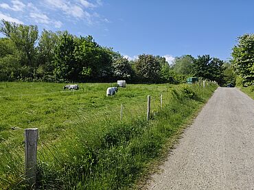 D26-03-014: Scheitelberg, 
							23774 Heiligenhafen