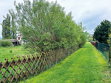 P26-03-006: Kehmstedter Weg,
							99752 Bleicherode
