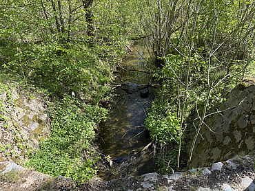 S25-03-019: Stadtbadstraße 40
							04741 Roßwein