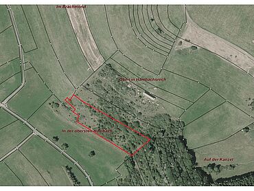 I26-15-012: 
		67746 Unterjeckenbach