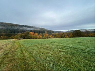 I26-21-025: 
		66851 Steinalben