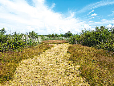 D26-03-011: Südl. der Bäderstraße
							25980 Sylt